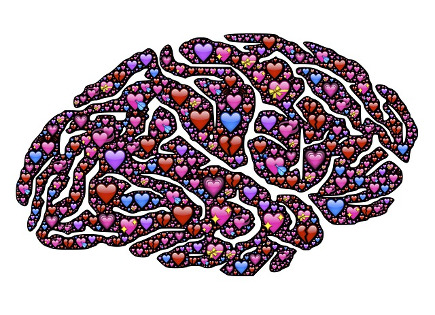 Cerebro enamorado